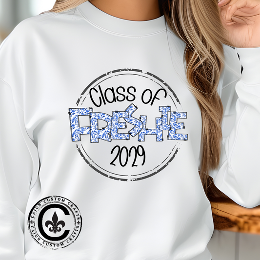 Class of 2029 Unisex Crewneck Sweatshirt, Freshman Gift, Class Sweatshirt, High School Apparel, Graduation Clothing, College Prep Fashion