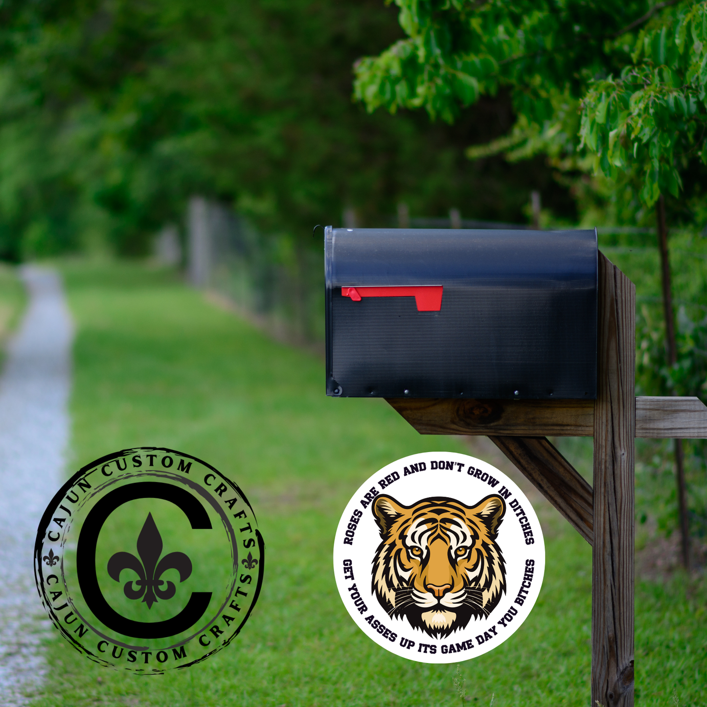 Personalized Mailbox Signs, Double Sided, UV Resistant (you can also use these on the door, and inside decor too)