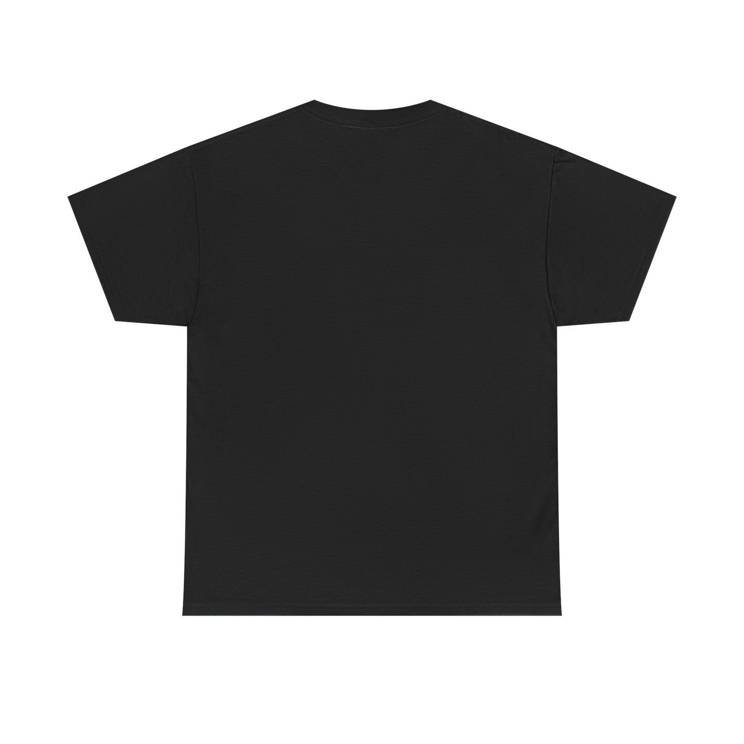 Louisiana Pride Unisex Heavy Cotton Tee | They Not Like Us, Southern Statement Shirt, Gift for Locals, Casual Wear, Streetwear