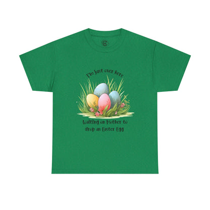 Mother, easter eggs - Unisex Heavy Cotton T-Shirt Music Lover Shirt, TS12 12 Swiftie
