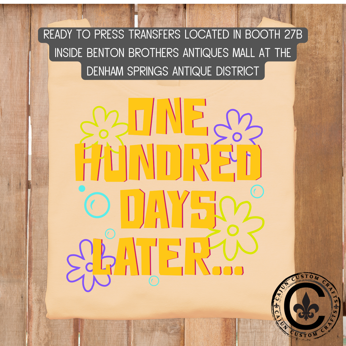 100 Days of School dtf transfer, tshirt, tumbler, jewelry